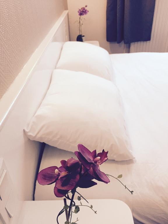 Hotel Du Commerce Bar-sur-Seine Екстер'єр фото